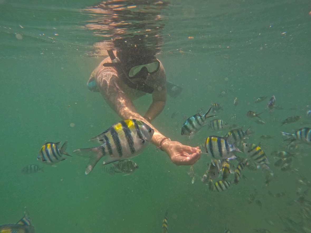 Snorkeling + Jet Ski package