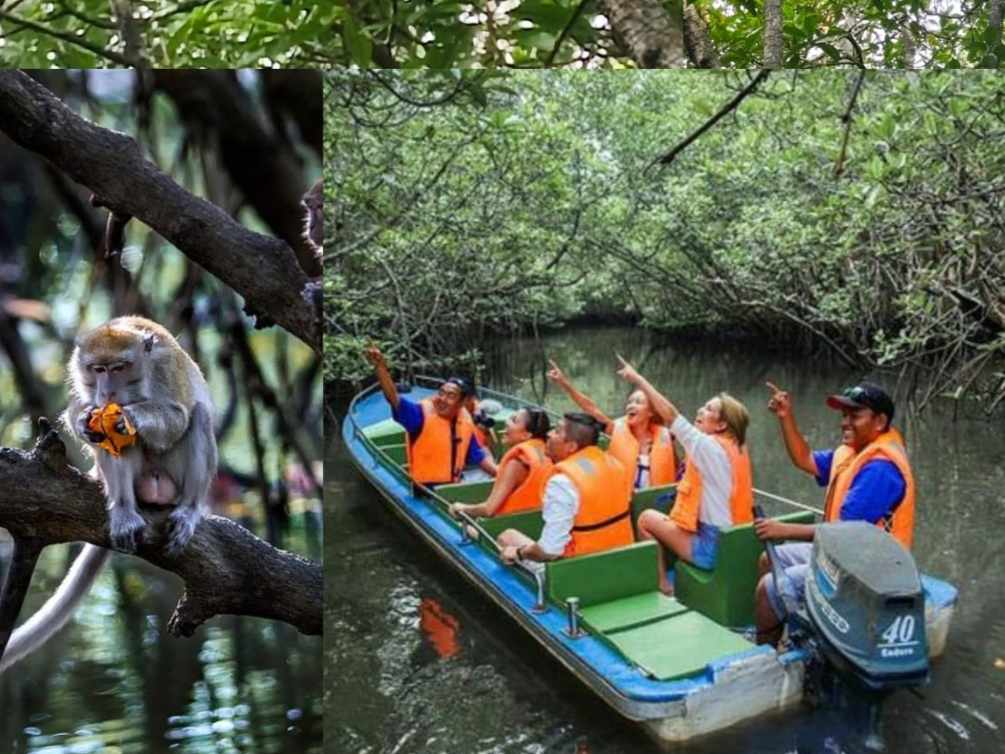 Bintan Mangrove Tour Experience BOOK NOW & GET 3% OFF
