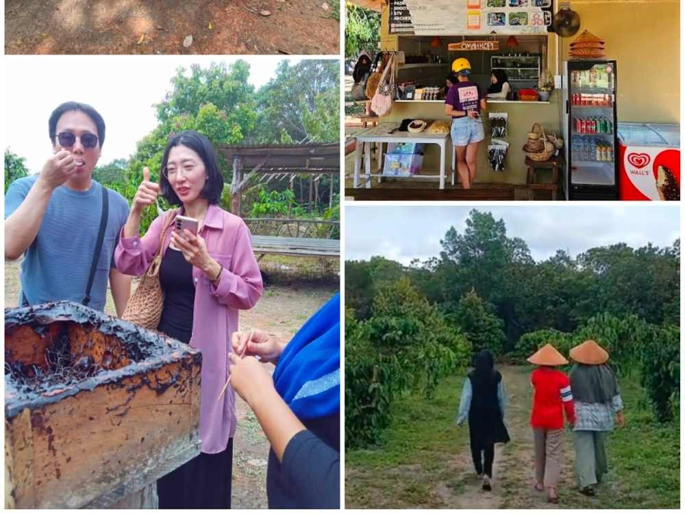 Tour Coffee Plantation & bee farm package BOOK NOW & GET 3% OFF